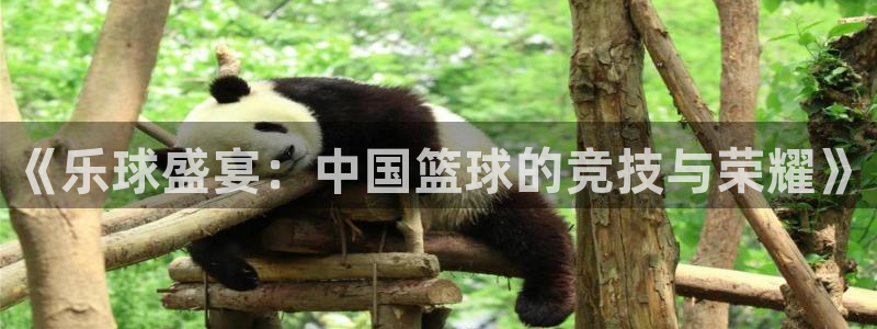 《乐球盛宴：中国篮球的竞技与荣耀》