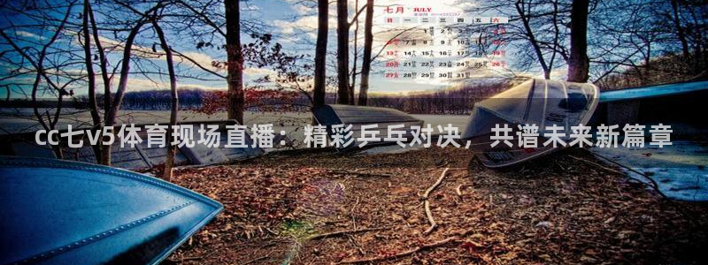 cc七v5体育现场直播：精彩乒乓对决，共谱未来新篇章