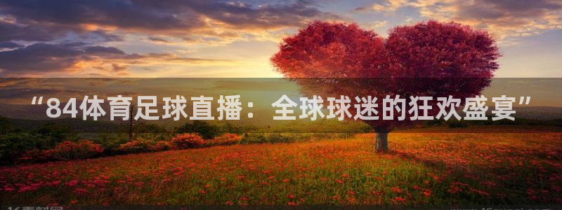 “84体育足球直播：全球球迷的狂欢盛宴”