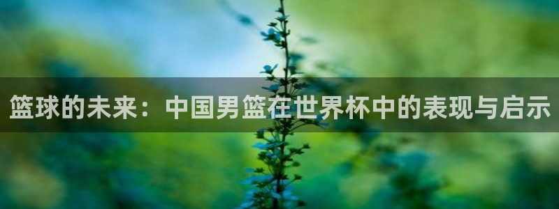 篮球的未来：中国男篮在世界杯中的表现与启示