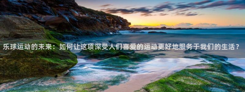 乐球运动的未来：如何让这项深受人们喜爱的运动更好地服务于我们的生活？