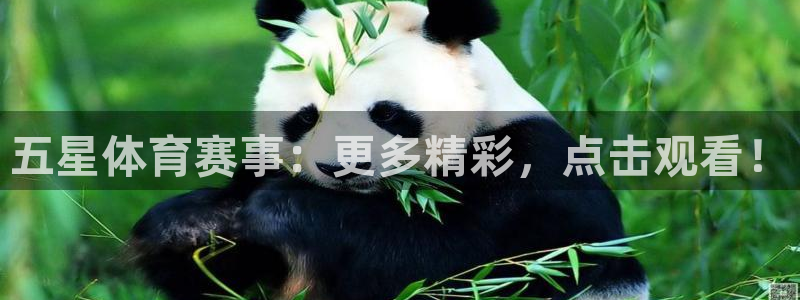 五星体育赛事：更多精彩，点击观看！