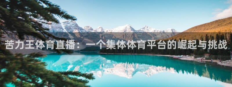 苦力王体育直播：一个集体体育平台的崛起与挑战