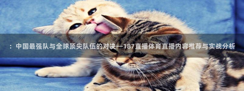 ：中国最强队与全球顶尖队伍的对决—187直播体育直播内容推荐与实战分析