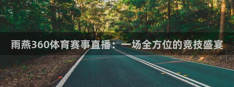 雨燕360体育赛事直播：一场全方位的竞技盛宴