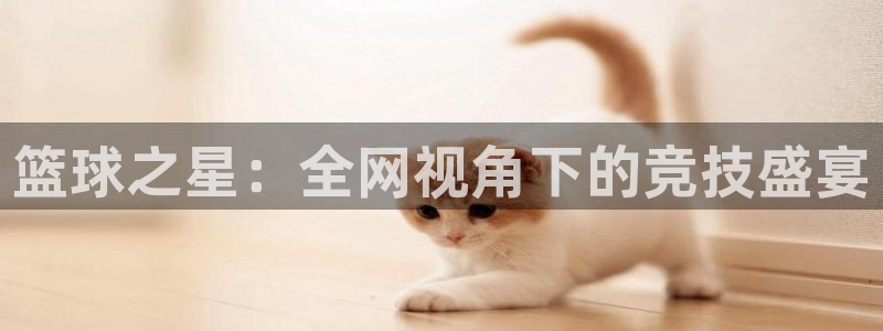篮球之星：全网视角下的竞技盛宴