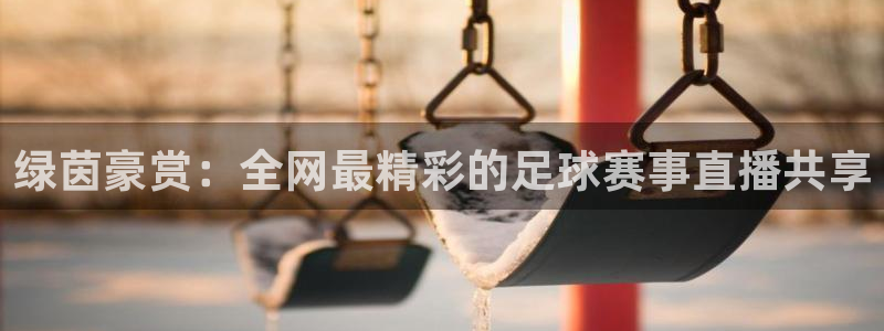 斗球猛哥直播间：绿茵豪赏：全网最精彩的足球赛事直播共享