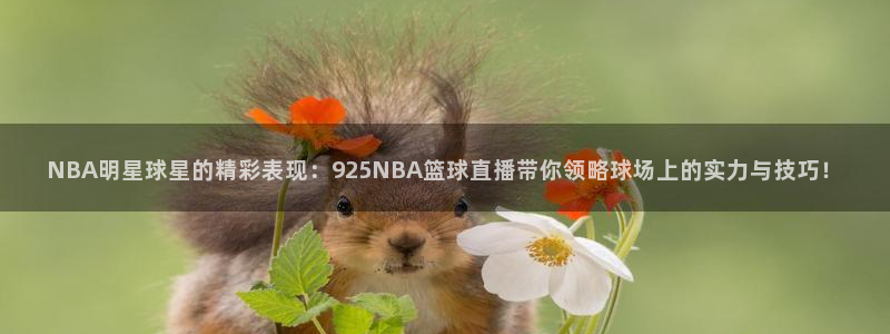 南美洲世界杯预选赛在线直播：NBA明星球星的精彩表现：925NBA篮球直播带你领略球场上的实力与技巧！