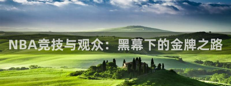 2022世界杯全赛程：NBA竞技与观众：黑幕下的金牌之路