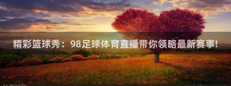 上一届足球世界杯冠军：精彩篮球秀：98足球体育直播带你领略最新赛事!