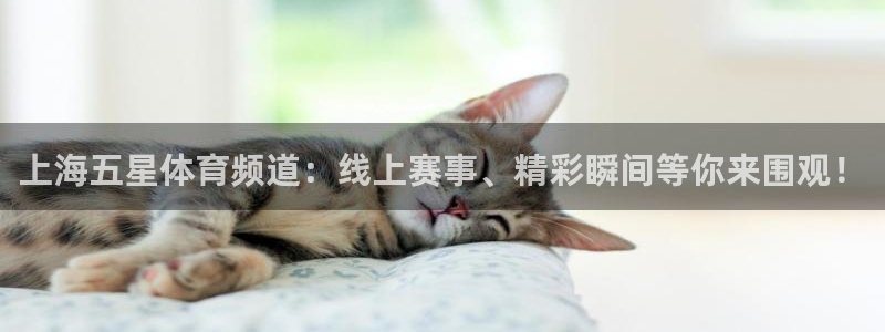 斗球直播tv版app：上海五星体育频道：线上赛事、精彩瞬间等你来围观！