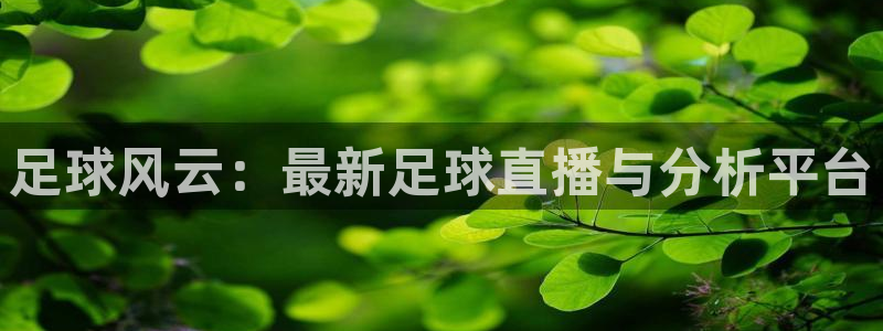 世界杯足球纪念钞：足球风云：最新足球直播与分析平台