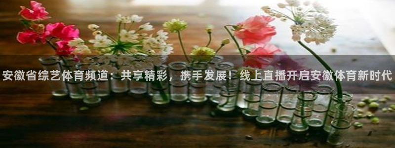 世界杯预选赛叙利亚：安徽省综艺体育频道：共享精彩，携手发展！线上直播开启安徽体育新时代